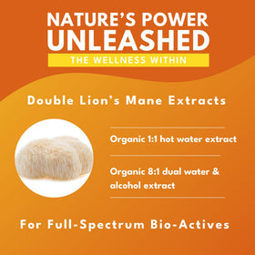Détails des ingrédients du Champignon Lion's Mane Bio Bold Botanica