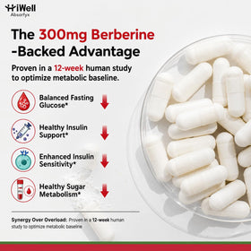 Détails des ingrédients du HiWell Absorfyx Berbérine 300mg