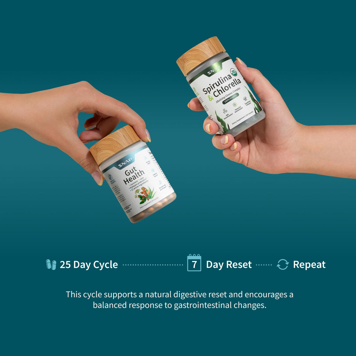 Détails des ingrédients du Snap Supplements Spiruline Chlorelle