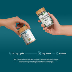 Détails des ingrédients du Snap Supplements Spiruline Chlorelle