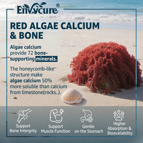 Détails des ingrédients naturels dans les gummies calcium EnvyCure
