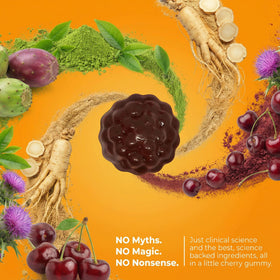 Détails des ingrédients naturels des gummies Toast!