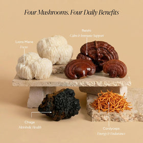 Détails des ingrédients sur l'emballage d'OM MUSHROOM SUPERFOOD Chai Vanille Crémeux