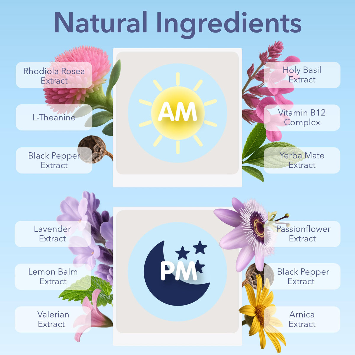 Détails des patches Laki Naturals pour le jet lag