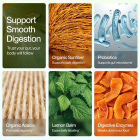 Détails des sachets de Poudre de Soutien daily Kiwi Fraise