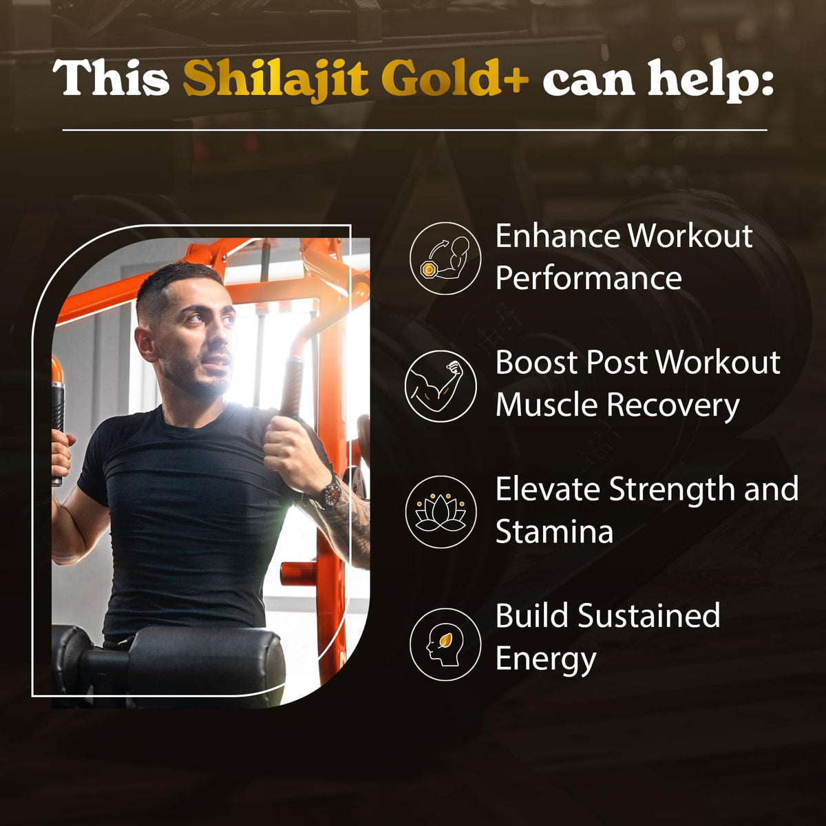 Détails du Better Alt Shilajit Gold+ 30g avec ingrédients