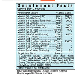 Détails du complexe de vitamines B 50g Systemic Formulas, emballage