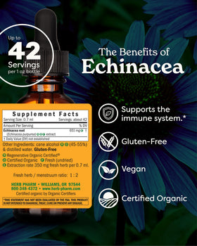 Détails du flacon d'extrait liquide d'échinacée bio Herb Pharm