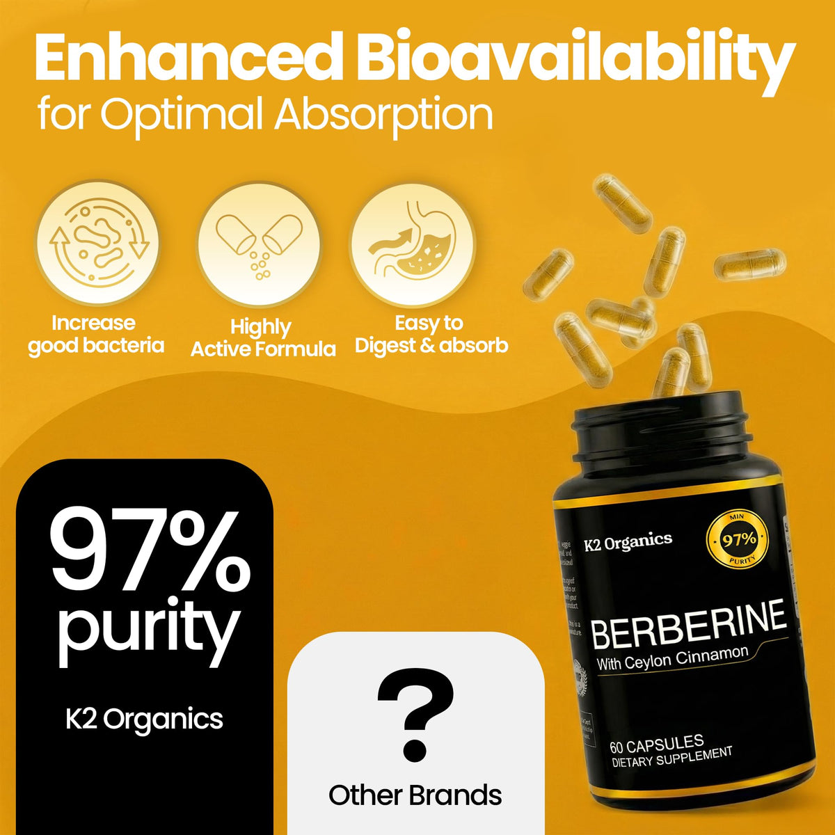 Détails du flacon de K2 Organics Berberine 1200 mg