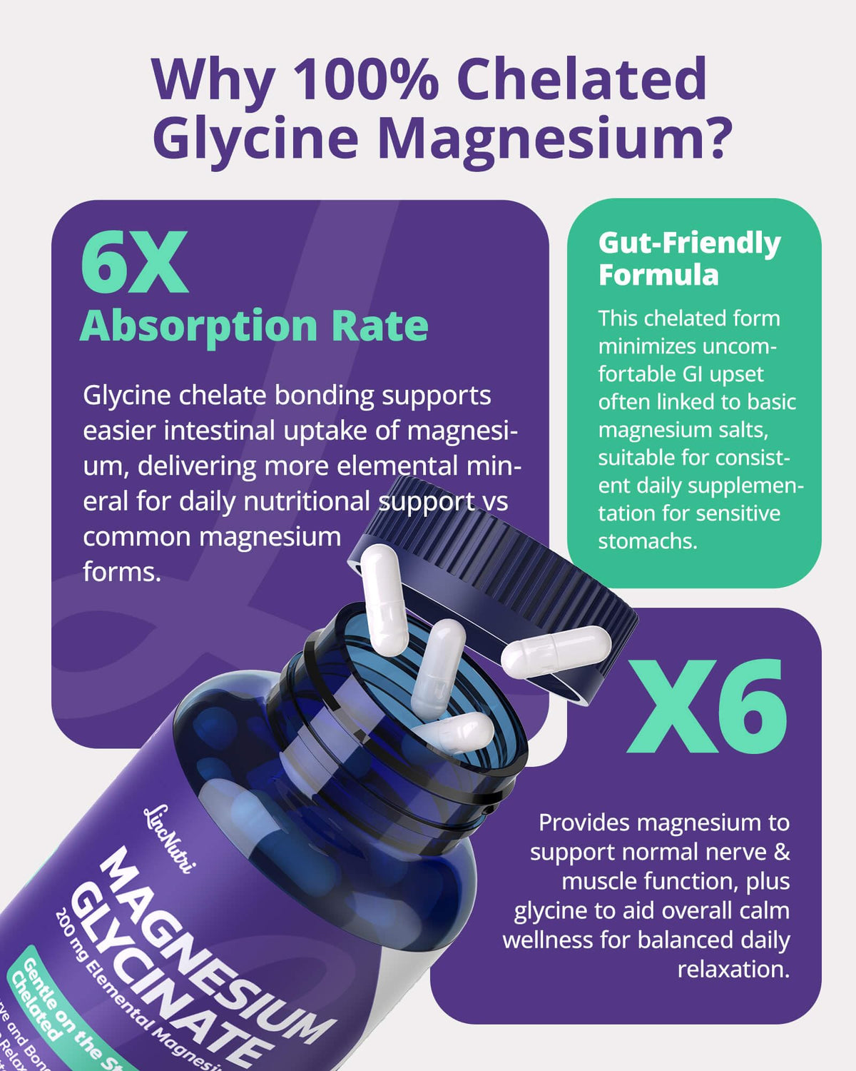 Détails du flacon de LincNutri Magnésium Chélaté 200mg B6