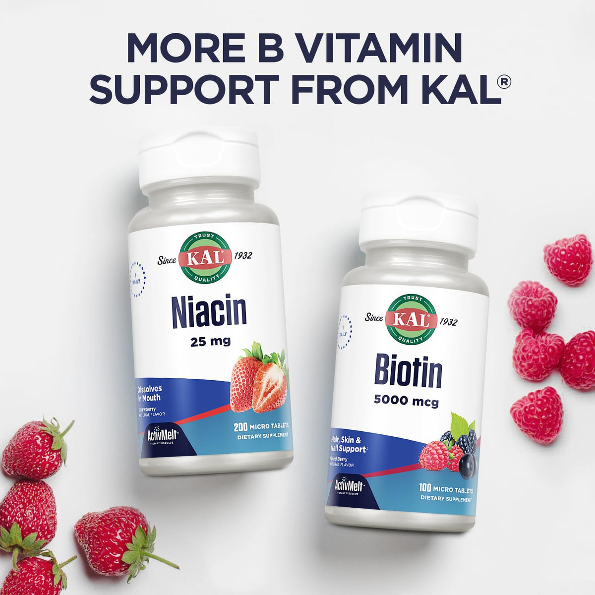 Détails du flacon KAL B12 Methylcobalamine