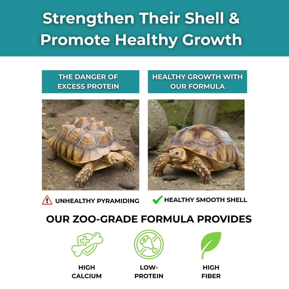 Détails du pack de soins pour tortues sulcata