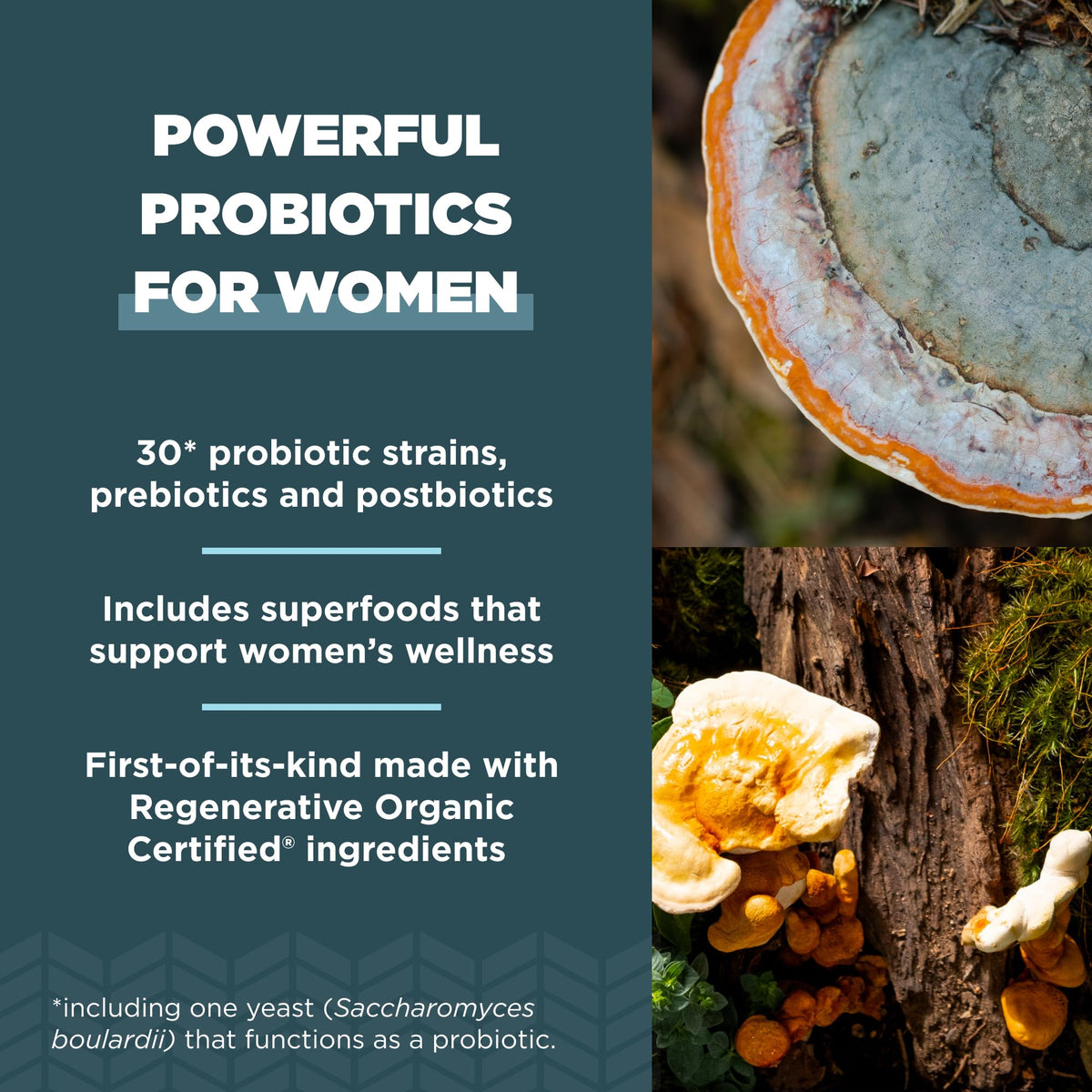 Détails du packaging des Probiotiques pour Femmes d'Ancient Nutrition