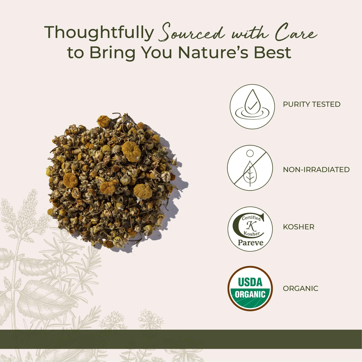 Détails du sachet de fleurs de camomille biologiques Starwest Botanicals