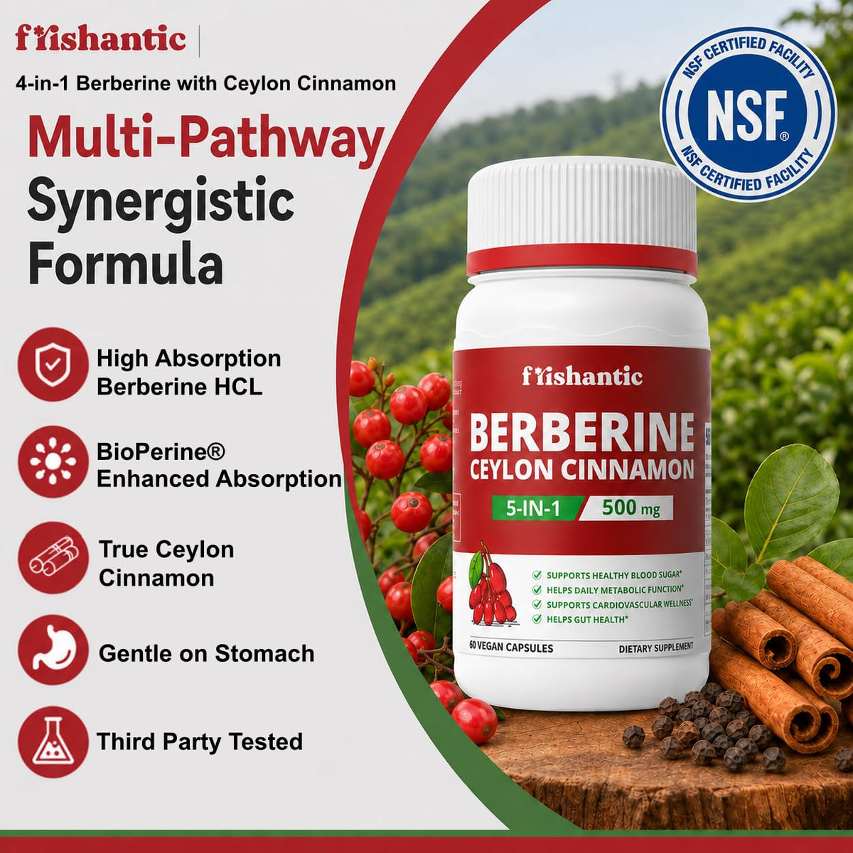 Détails sur l'étiquette de Frishantic Berbérine HCl 500mg