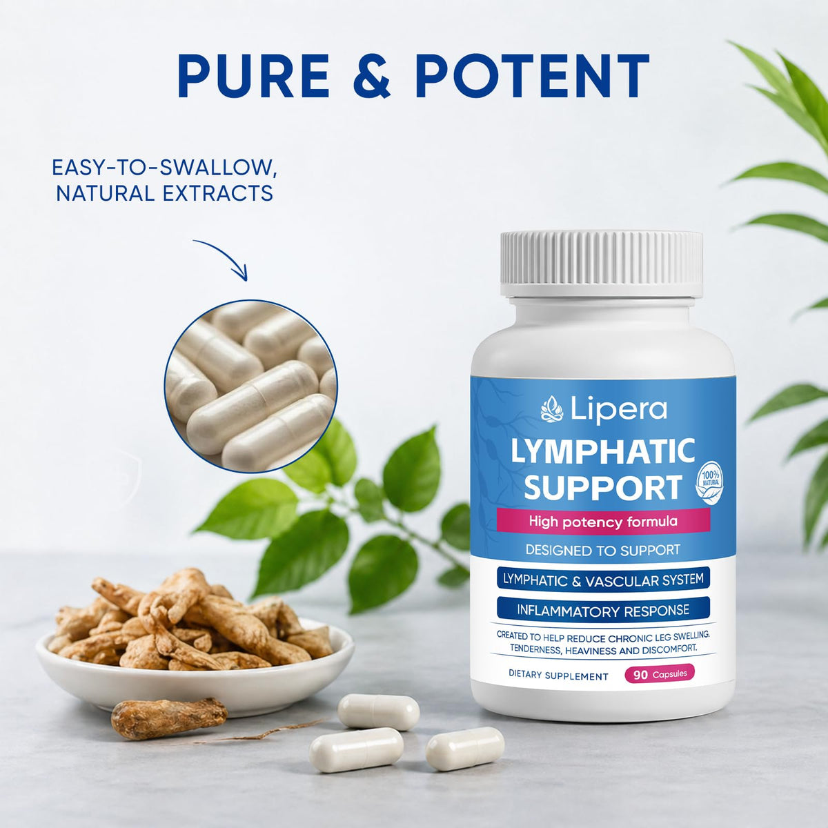 Détails sur la composition des capsules LIPERA LYMPHATIC
