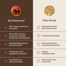 Détails sur la poudre de champignon Reishi bio