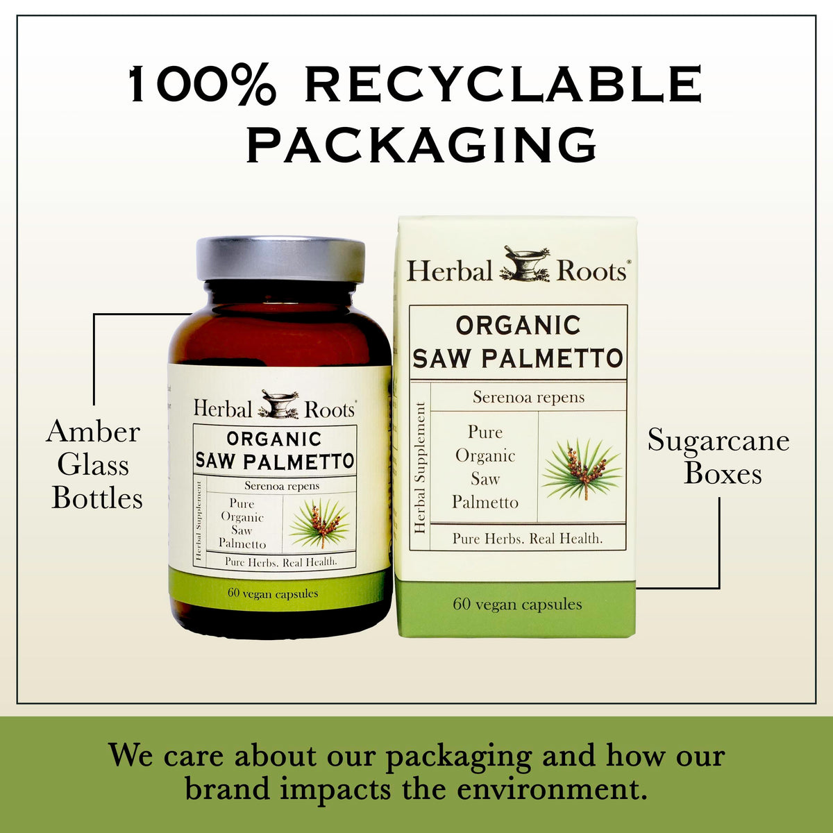 Détails sur les ingrédients du complément Herbal Roots Saw Palmetto