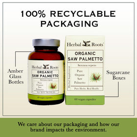 Détails sur les ingrédients du complément Herbal Roots Saw Palmetto