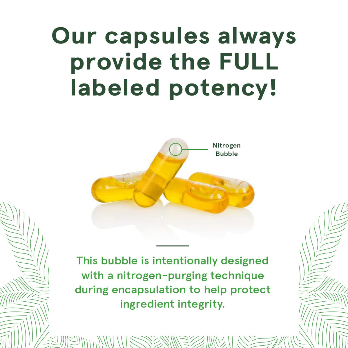 DEVA Huile de Lin Végétale - capsules ouvertes montrant leur taille