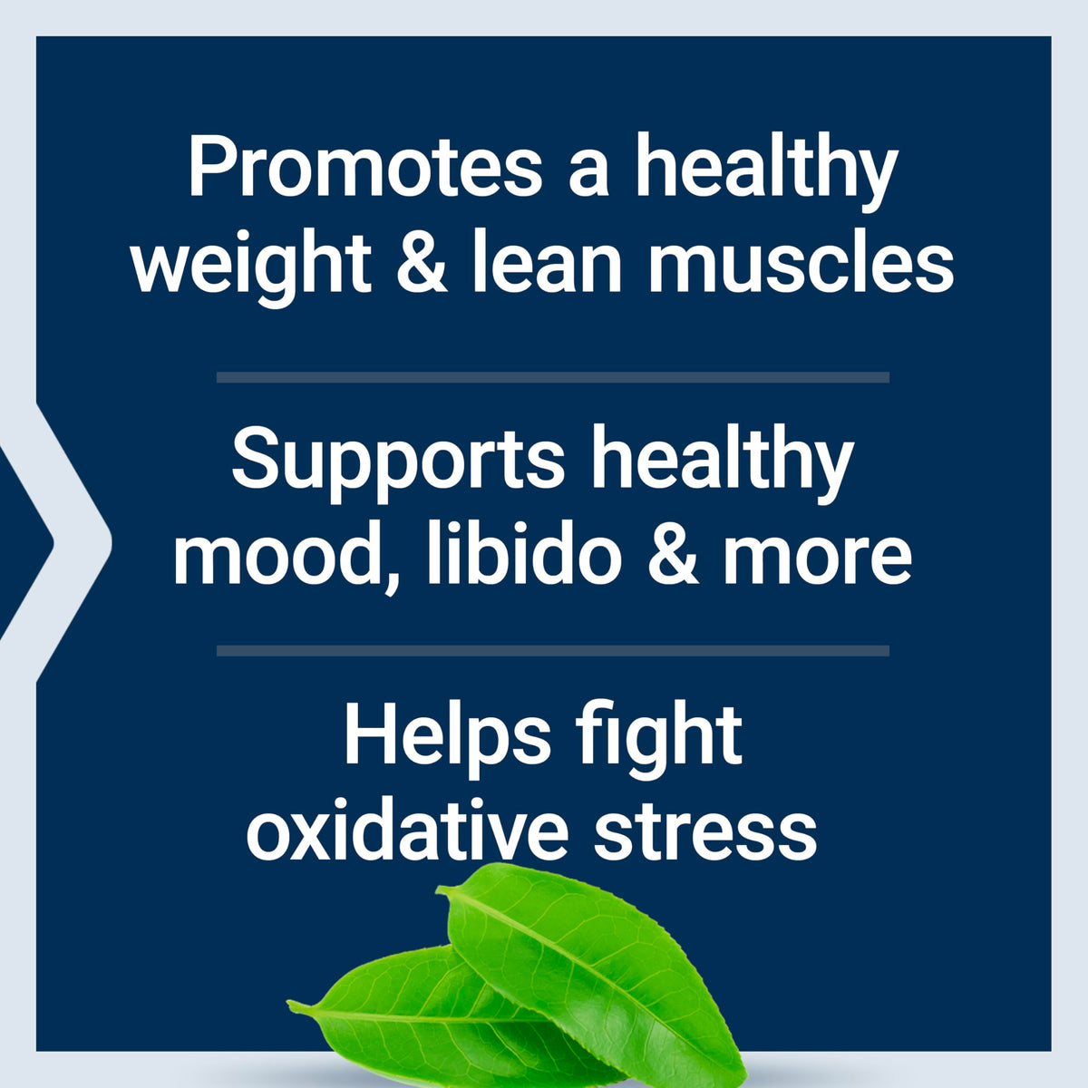 DHEA Complete Life Extension capsules ouvertes montrant leur taille