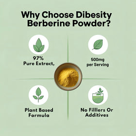 Dibesity poudre de berbérine pure 100g avec cuillère doseuse