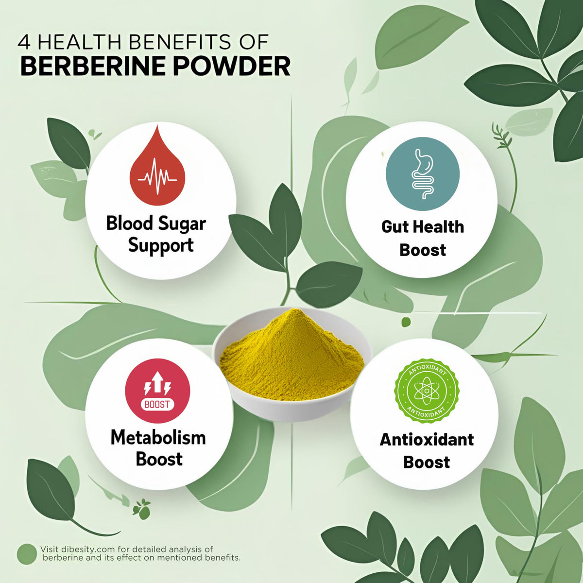 Dibesity poudre de berbérine pure 100g vue de côté montrant le sachet refermable