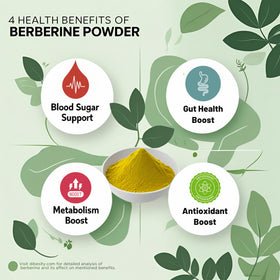 Dibesity poudre de berbérine pure 100g vue de côté montrant le sachet refermable