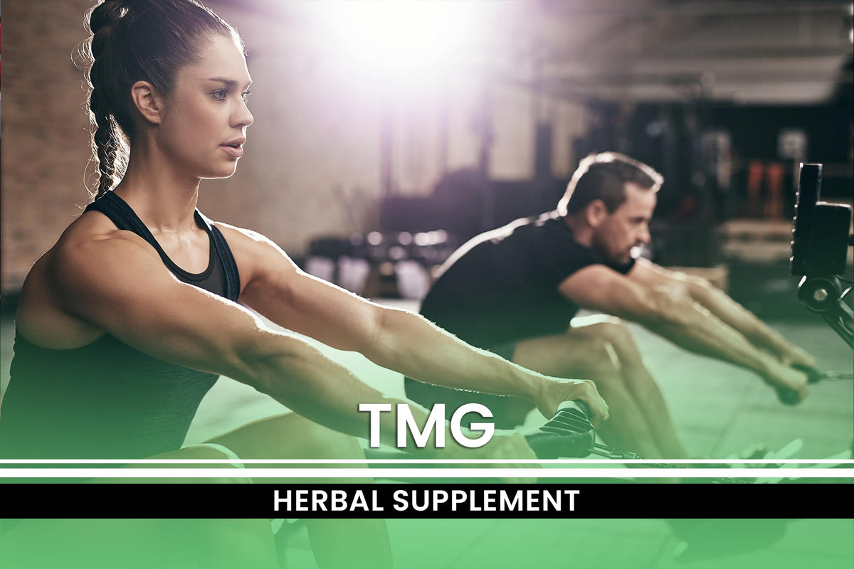 Dimensions du produit TMG Capsules 365 pièces