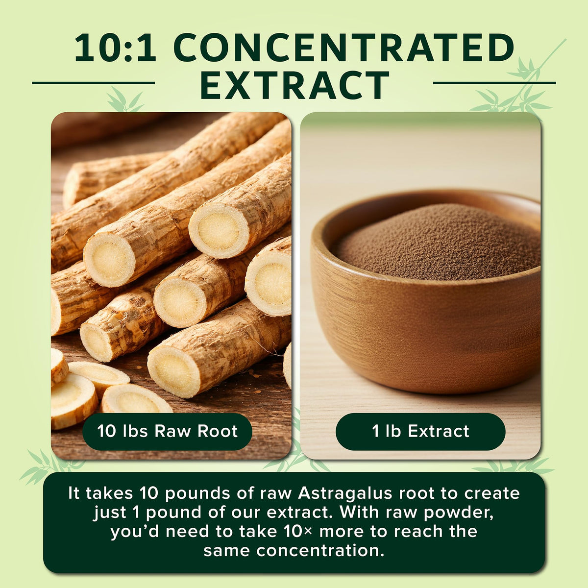 Dimmak Herbs Extrait de Racine d'Astragale Bio 10:1 Poudre sur une cuillère