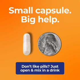 Dirobi Eat Anything Rx capsules on a kitchen counter