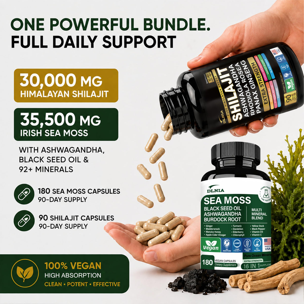 DLNIA Capsules de Shilajit - Vue de dessus