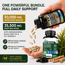 DLNIA Capsules de Shilajit - Vue de dessus