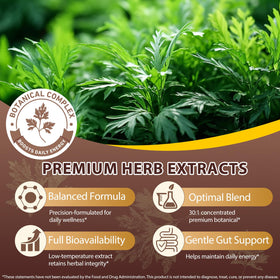 DLOMFVFQ Nettoyage aux Herbes 240 Gélules Molles, contenant ouvert
