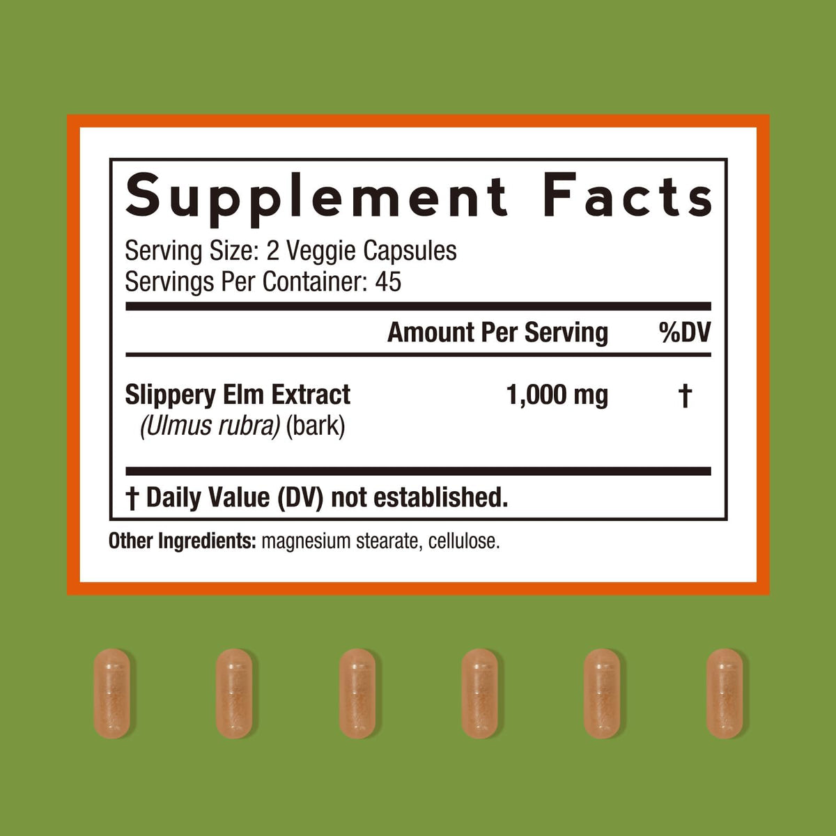 Doctor's Recipes Écorce de Bouleau Glissant 90 Capsules Végétales - vue arrière