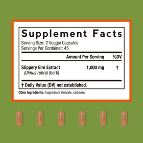 Doctor's Recipes Écorce de Bouleau Glissant 90 Capsules Végétales - vue arrière