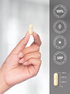 Doctor's Way Acide Alpha Lipoïque 300mg dans un environnement naturel