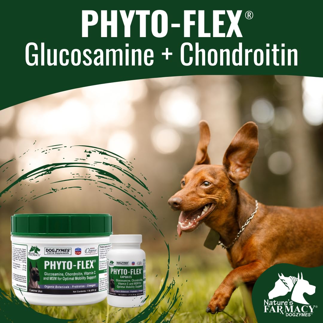 Dogzymes Phyto Flex 1012g emballage arrière