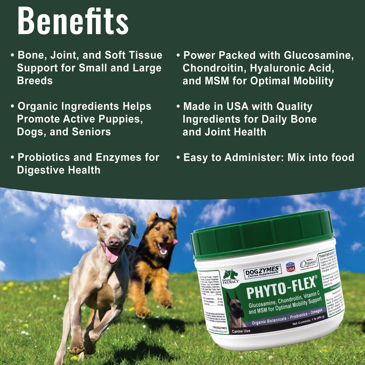 Dogzymes Phyto Flex contenu en poudre dans une cuillère