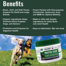 Dogzymes Phyto Flex contenu en poudre dans une cuillère