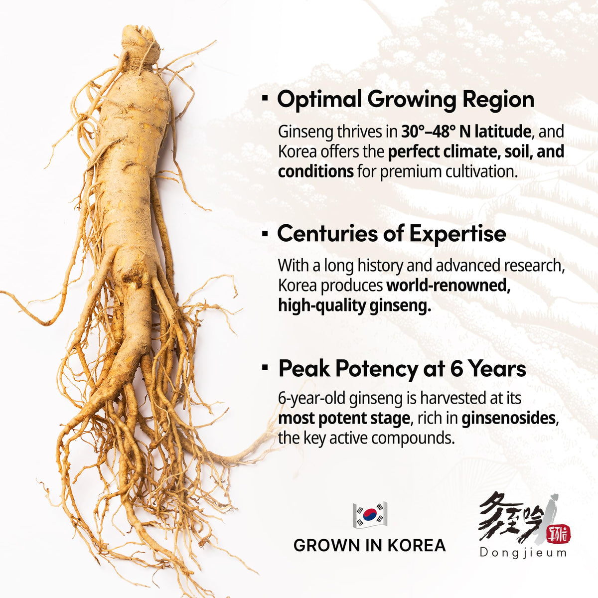 Dongjieum Ginseng Rouge Coréen 120 Capsules Végétaliennes avec un verre d'eau