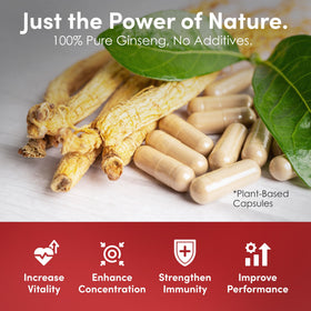 Dongjieum Ginseng Rouge Coréen 120 Capsules Végétaliennes sur une table en bois