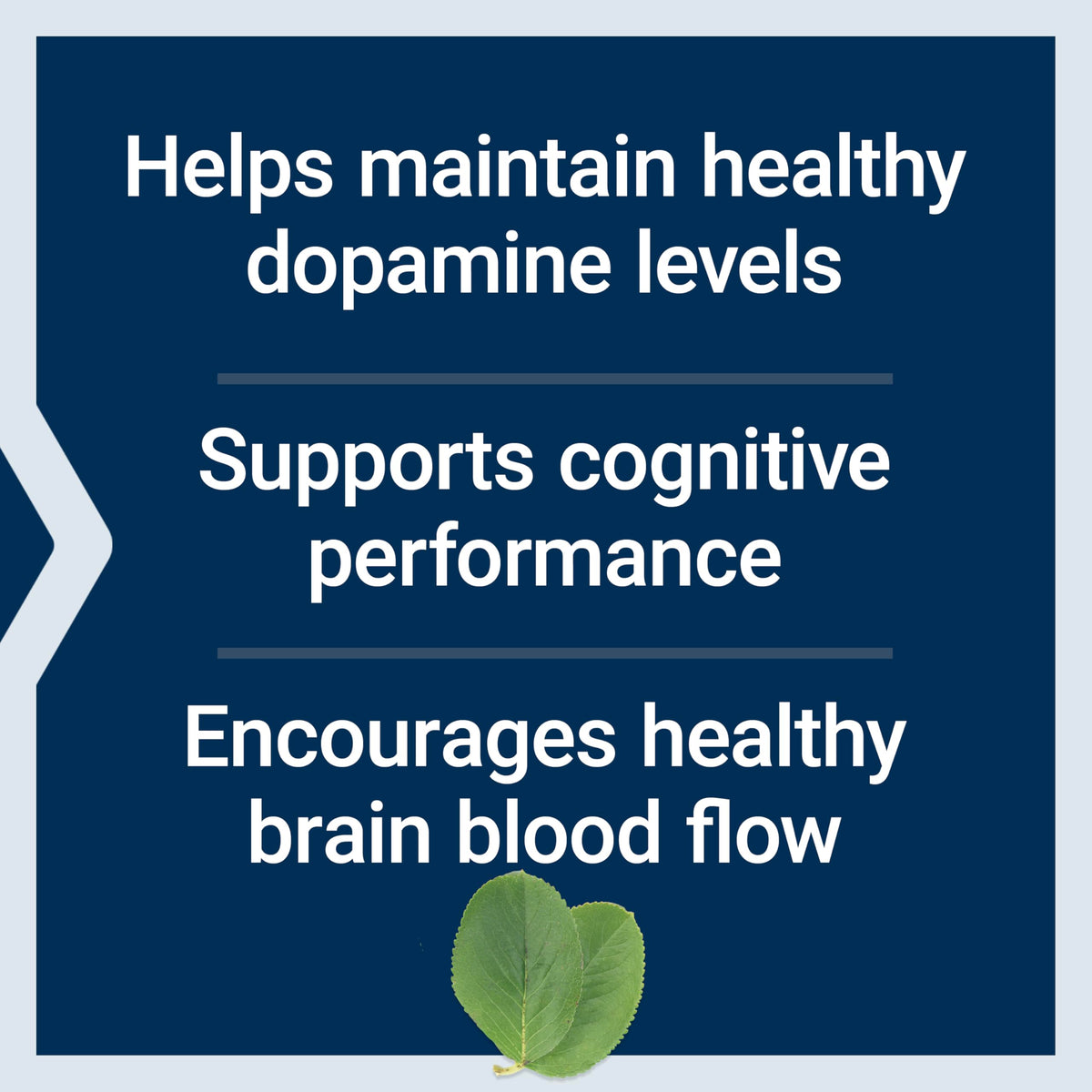 Dopa-Mind de Life Extension - informations nutritionnelles sur l'emballage
