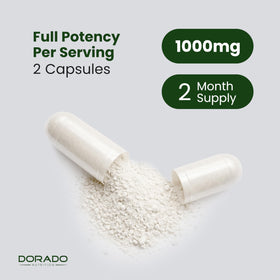 DORADO NUTRITION Colostrum sur fond blanc