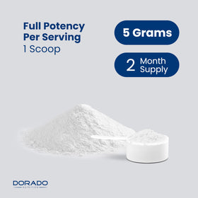DORADO NUTRITION Poudre de Créatine Monohydrate 5000mg vue arrière