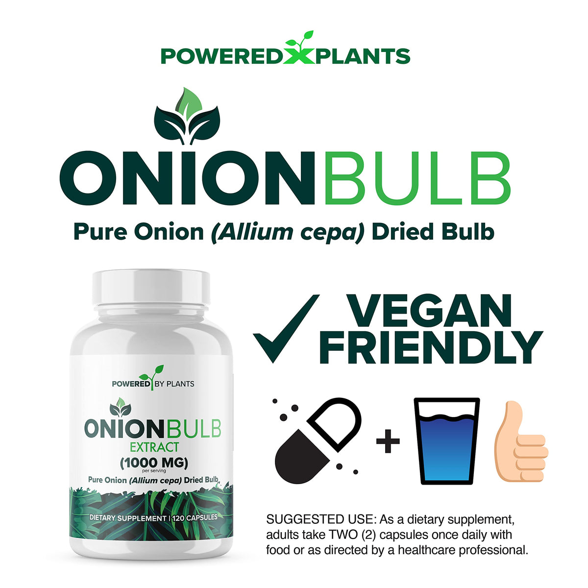 Dos de l'emballage d'extrait de bulbe d'oignon POWERED X PLANTS