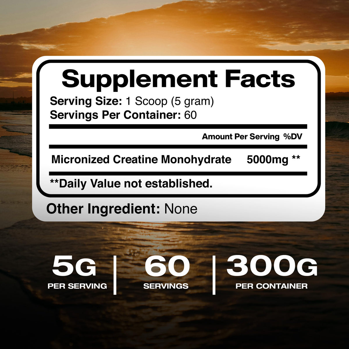 Dos de l'emballage de créatine monohydrate micronisée American Standard