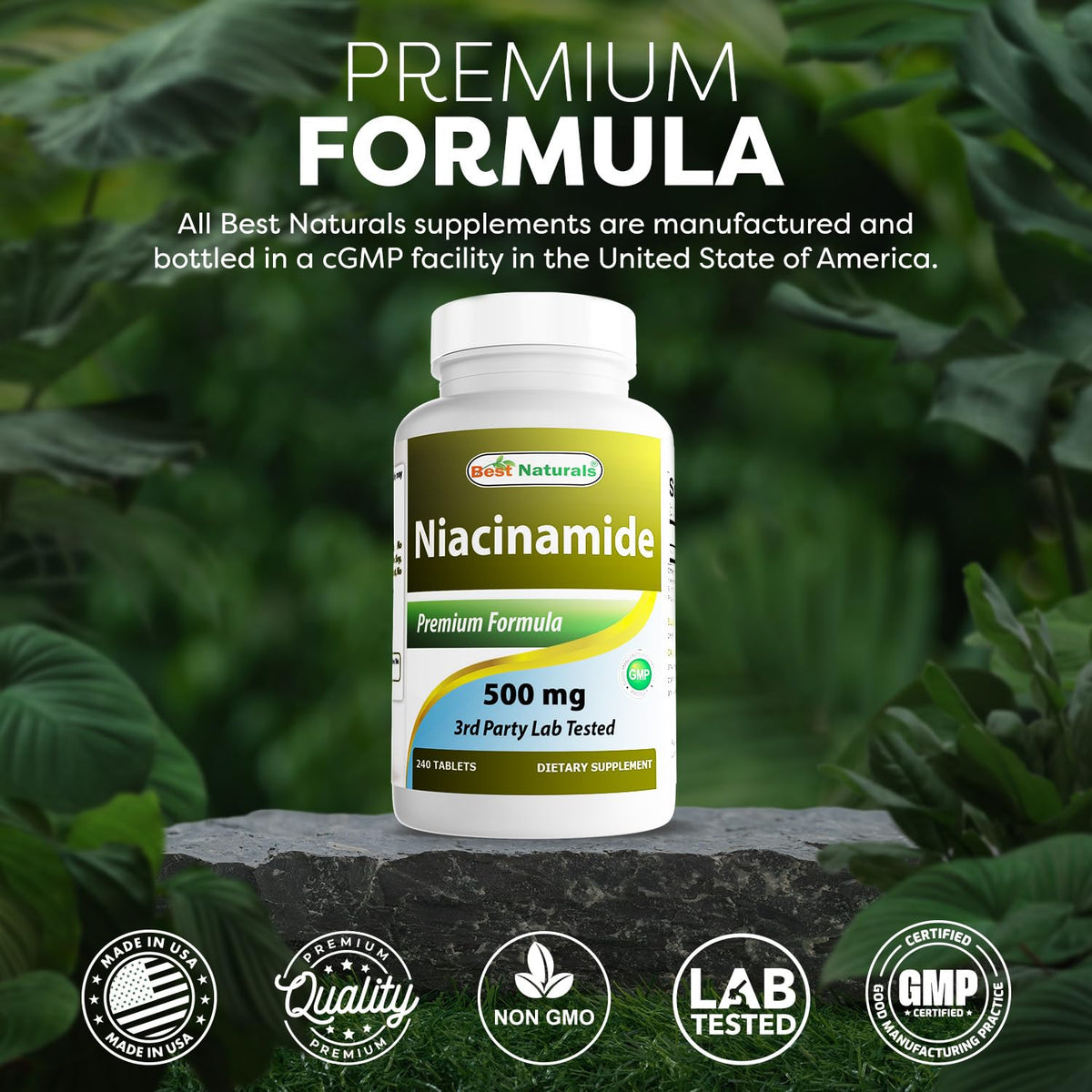 Dos de l'étiquette de Best Naturals Niacinamide 500mg montrant les ingrédients