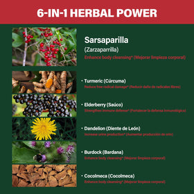 Dos de la bouteille de capsules de racine de salsepareille Verdeherb