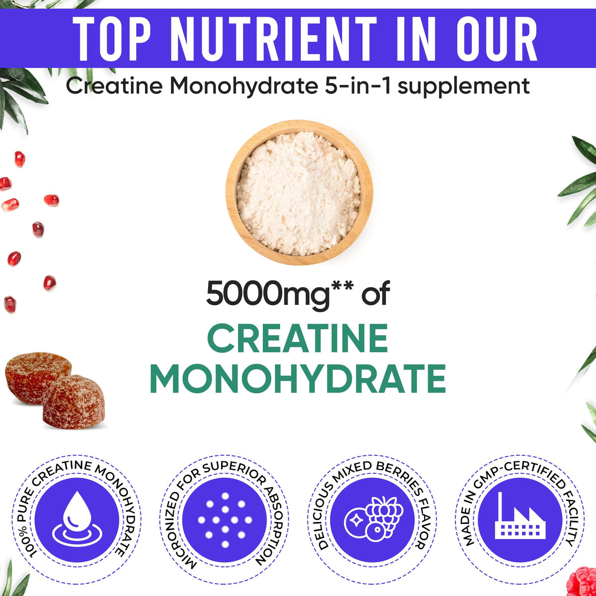 Dos de la bouteille de gummies Adndale montrant les ingrédients